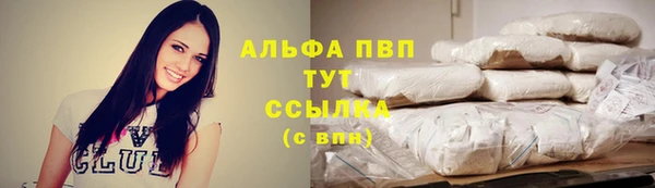 крисы Алексин
