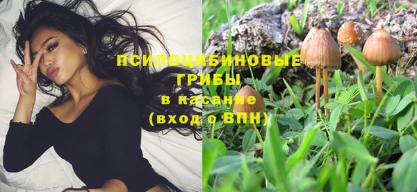 крисы Алексин