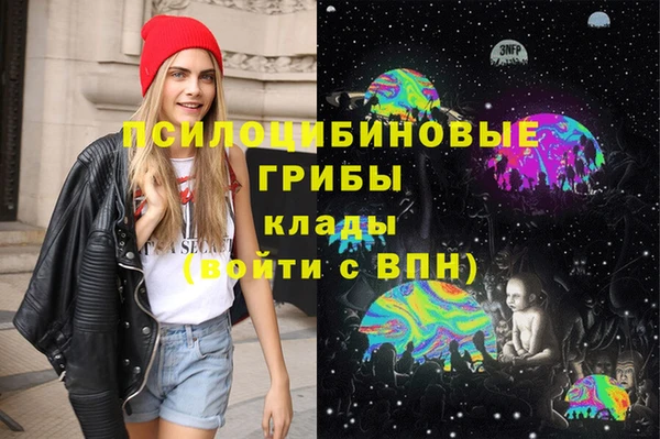 круглые Алзамай