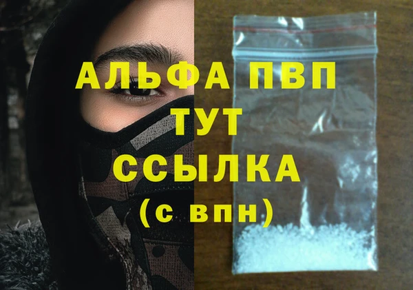 крисы Алексин